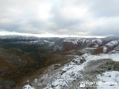 Hayedo de Pedrosa - Parque Natural Sierra Norte de Guadalajara - Hayedo de Tejera Negra